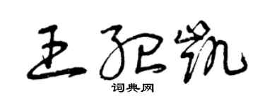 曾慶福王紀凱草書個性簽名怎么寫