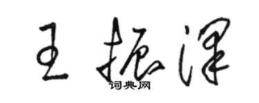 駱恆光王振澤草書個性簽名怎么寫