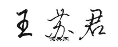 駱恆光王蘇君行書個性簽名怎么寫