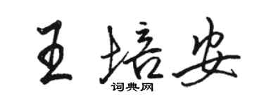 駱恆光王培安行書個性簽名怎么寫