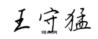 王正良王守猛行書個性簽名怎么寫