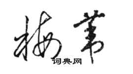 駱恆光梅葦草書個性簽名怎么寫