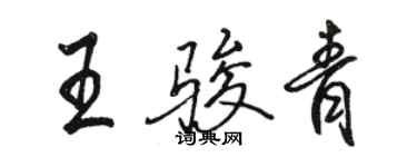 駱恆光王駿青行書個性簽名怎么寫