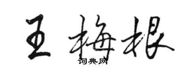 駱恆光王梅根行書個性簽名怎么寫