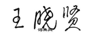 駱恆光王曉賢草書個性簽名怎么寫