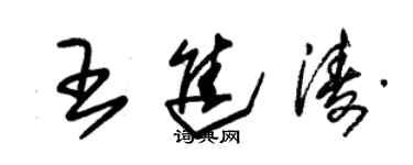 朱錫榮王進濤草書個性簽名怎么寫