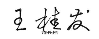駱恆光王桂發草書個性簽名怎么寫