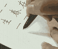 田英章硬筆書法基礎教程 動態圖