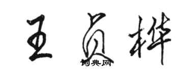 駱恆光王貞樺行書個性簽名怎么寫