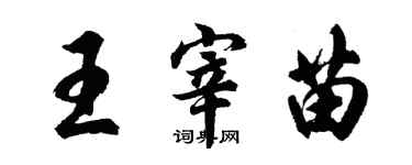 胡問遂王宰苗行書個性簽名怎么寫