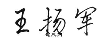 駱恆光王揚軍行書個性簽名怎么寫