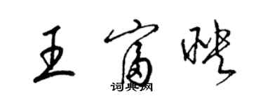 梁錦英王富映草書個性簽名怎么寫