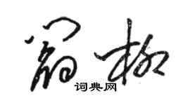 駱恆光閻柳草書個性簽名怎么寫