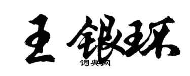 胡問遂王銀環行書個性簽名怎么寫