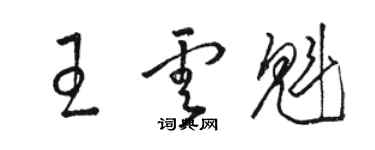 駱恆光王雲魁草書個性簽名怎么寫