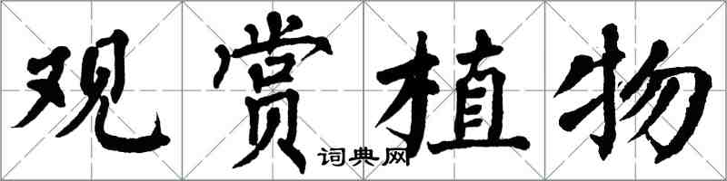 翁闓運觀賞植物楷書怎么寫