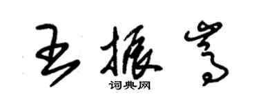 朱錫榮王振嵩草書個性簽名怎么寫