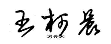 朱錫榮王柯晨草書個性簽名怎么寫