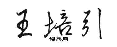 駱恆光王培引行書個性簽名怎么寫