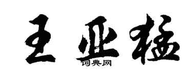胡問遂王亞猛行書個性簽名怎么寫