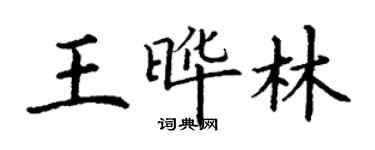 丁謙王曄林楷書個性簽名怎么寫