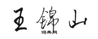 駱恆光王錦山行書個性簽名怎么寫