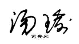 朱錫榮湯瑜草書個性簽名怎么寫