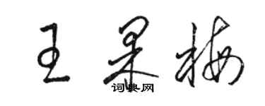 駱恆光王果梅草書個性簽名怎么寫