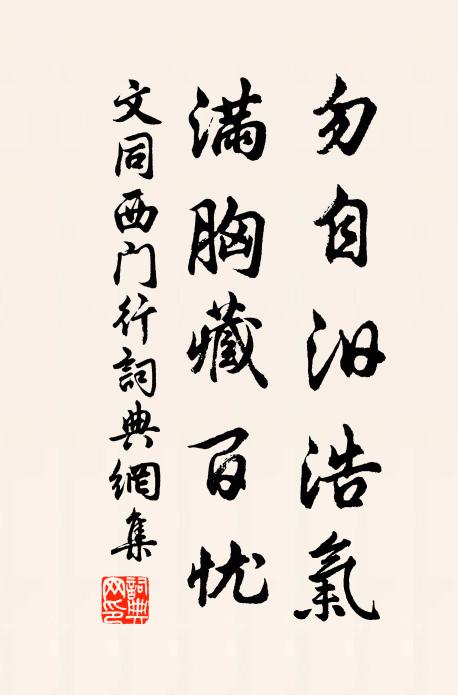 文同勿自汨浩氣,滿胸藏百憂書法作品欣賞