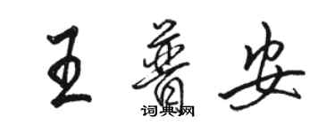 駱恆光王普安行書個性簽名怎么寫