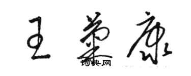 駱恆光王菊康草書個性簽名怎么寫