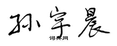 曾慶福孫宇晨行書個性簽名怎么寫