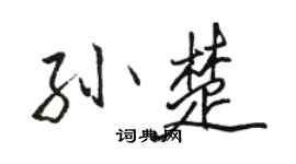 駱恆光孫楚行書個性簽名怎么寫