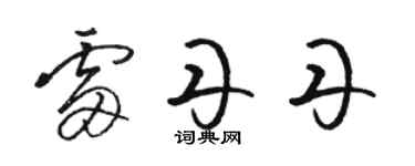 駱恆光雷丹丹草書個性簽名怎么寫