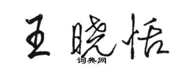 駱恆光王曉恬行書個性簽名怎么寫