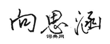 駱恆光向思涵行書個性簽名怎么寫