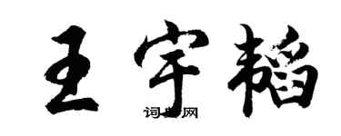 胡問遂王宇韜行書個性簽名怎么寫