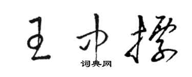 駱恆光王中標草書個性簽名怎么寫