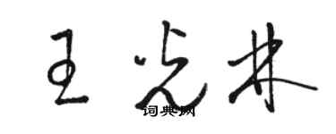 駱恆光王光林草書個性簽名怎么寫