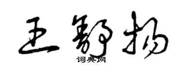 曾慶福王舒揚草書個性簽名怎么寫