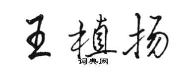 駱恆光王植揚行書個性簽名怎么寫