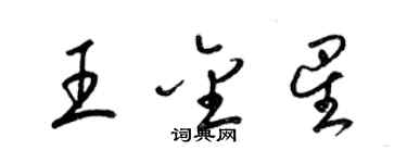 梁錦英王金星草書個性簽名怎么寫