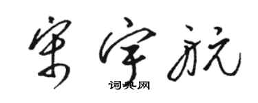 駱恆光宋宇航草書個性簽名怎么寫