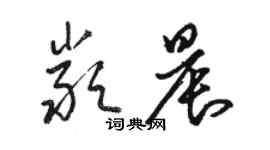 駱恆光嚴晨草書個性簽名怎么寫