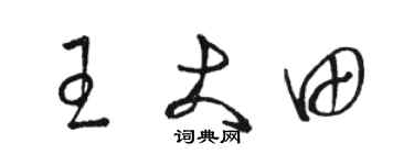 駱恆光王大田草書個性簽名怎么寫
