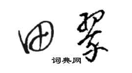 駱恆光田翠草書個性簽名怎么寫