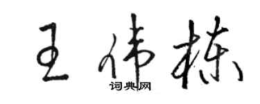 駱恆光王偉棟草書個性簽名怎么寫