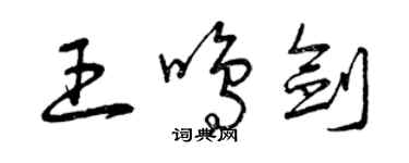 曾慶福王鳴劍草書個性簽名怎么寫