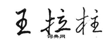 駱恆光王拉柱行書個性簽名怎么寫
