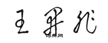 駱恆光王開非草書個性簽名怎么寫